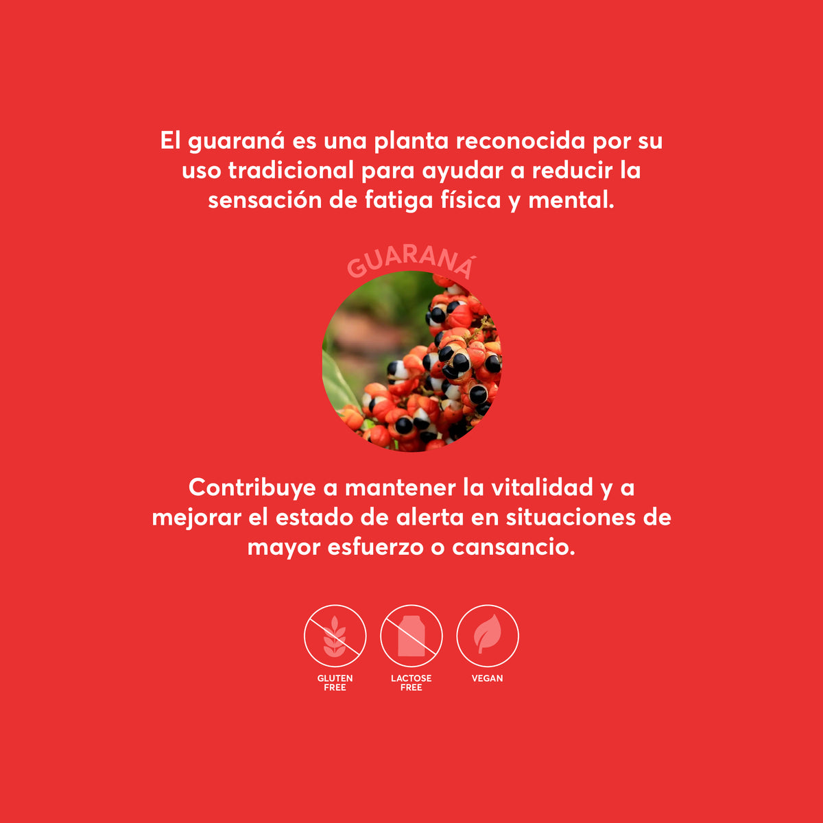 ENERGY V-Gummies | Gominolas Con Guaraná, Cafeína y Vitamina C | Energía para el Día